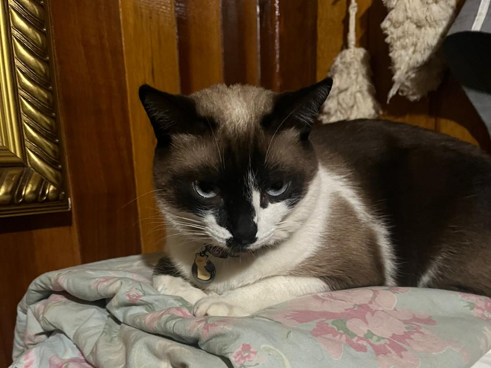 Foto de Tina