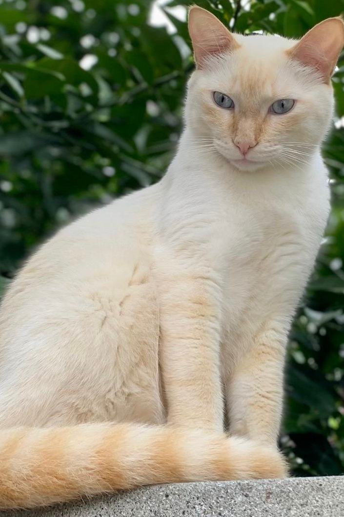 Foto de Nino