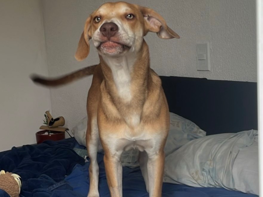 Foto de Chico Bartolomeu