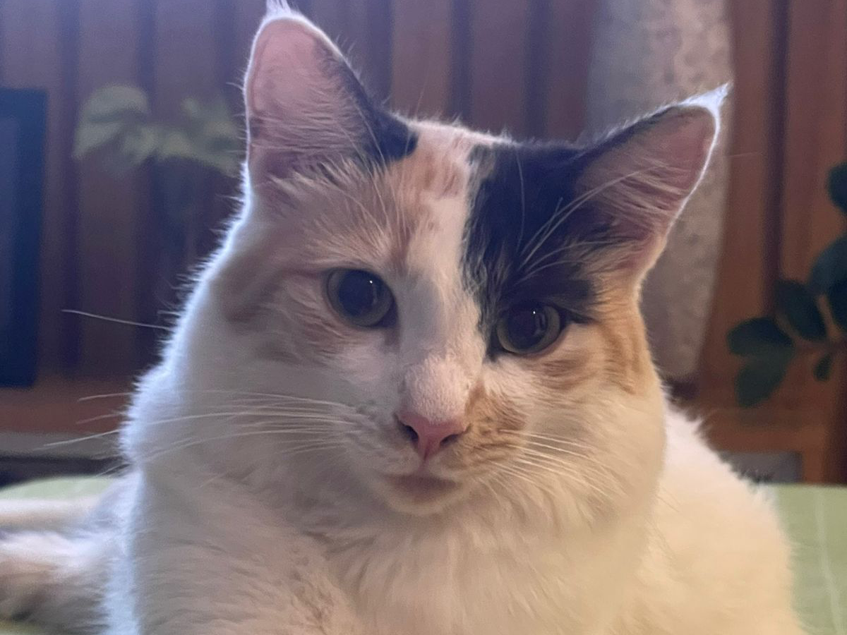Foto de Linda