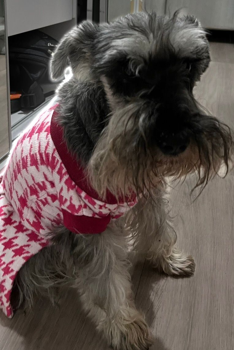 Foto de Mari