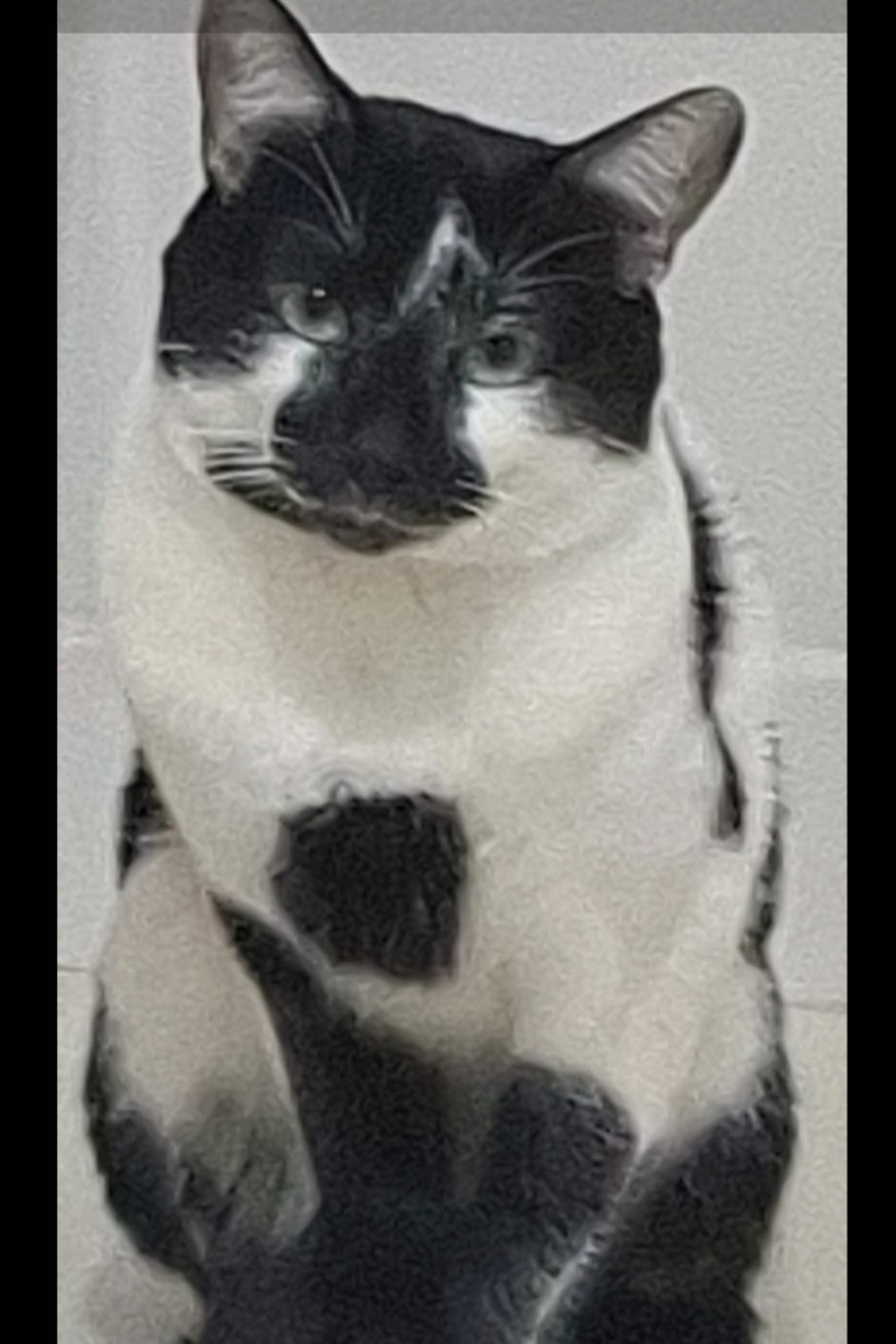 Foto de Tito