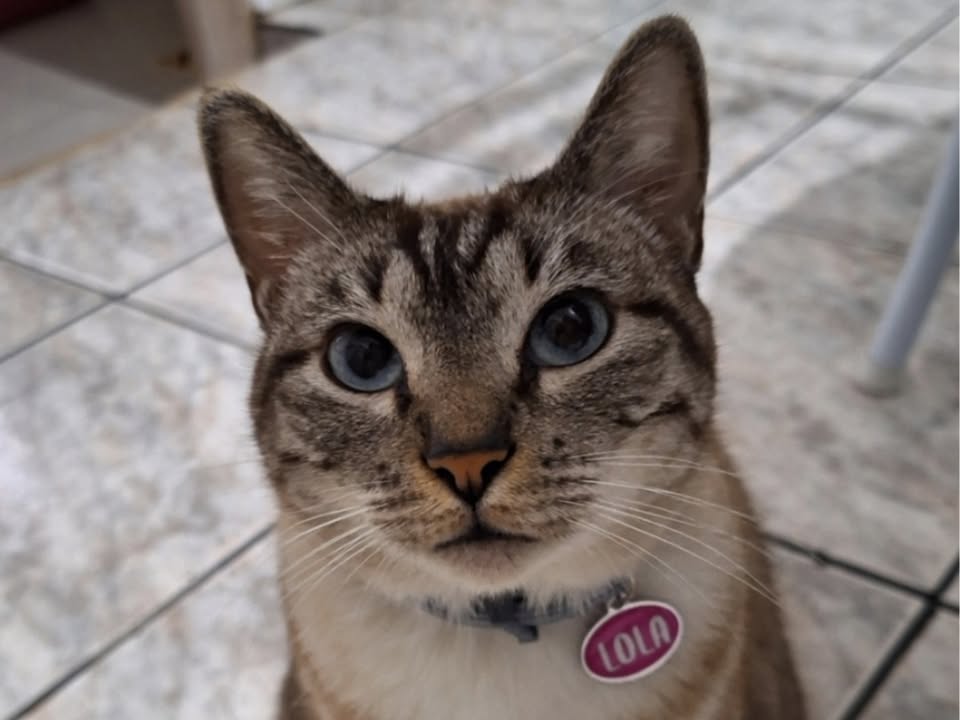 Foto de Lola