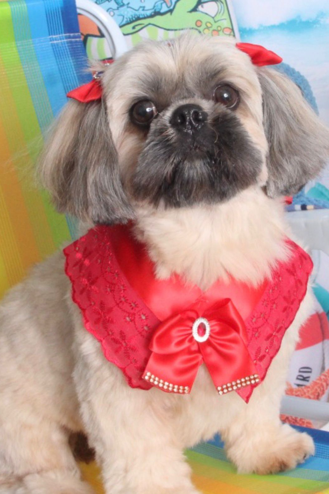 Foto de Chanel