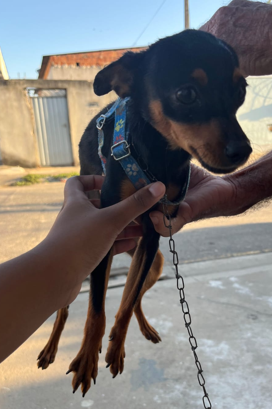 Foto de Bruce