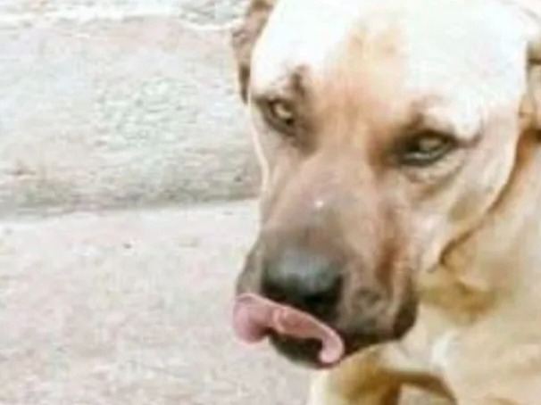 Foto de Baruck