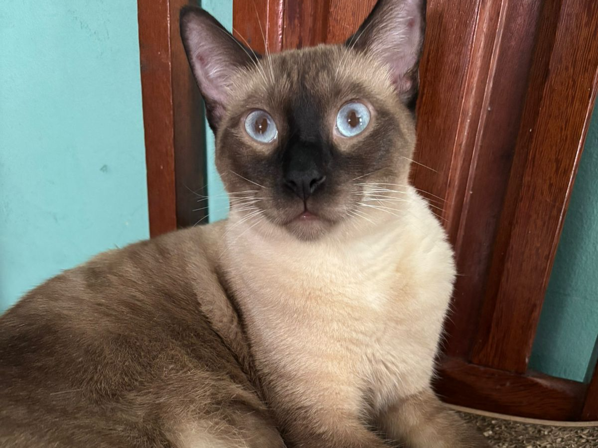 Foto de Luke