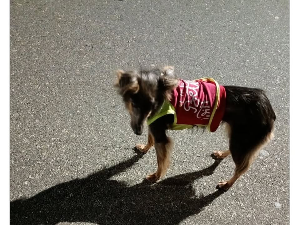 Foto de Betina