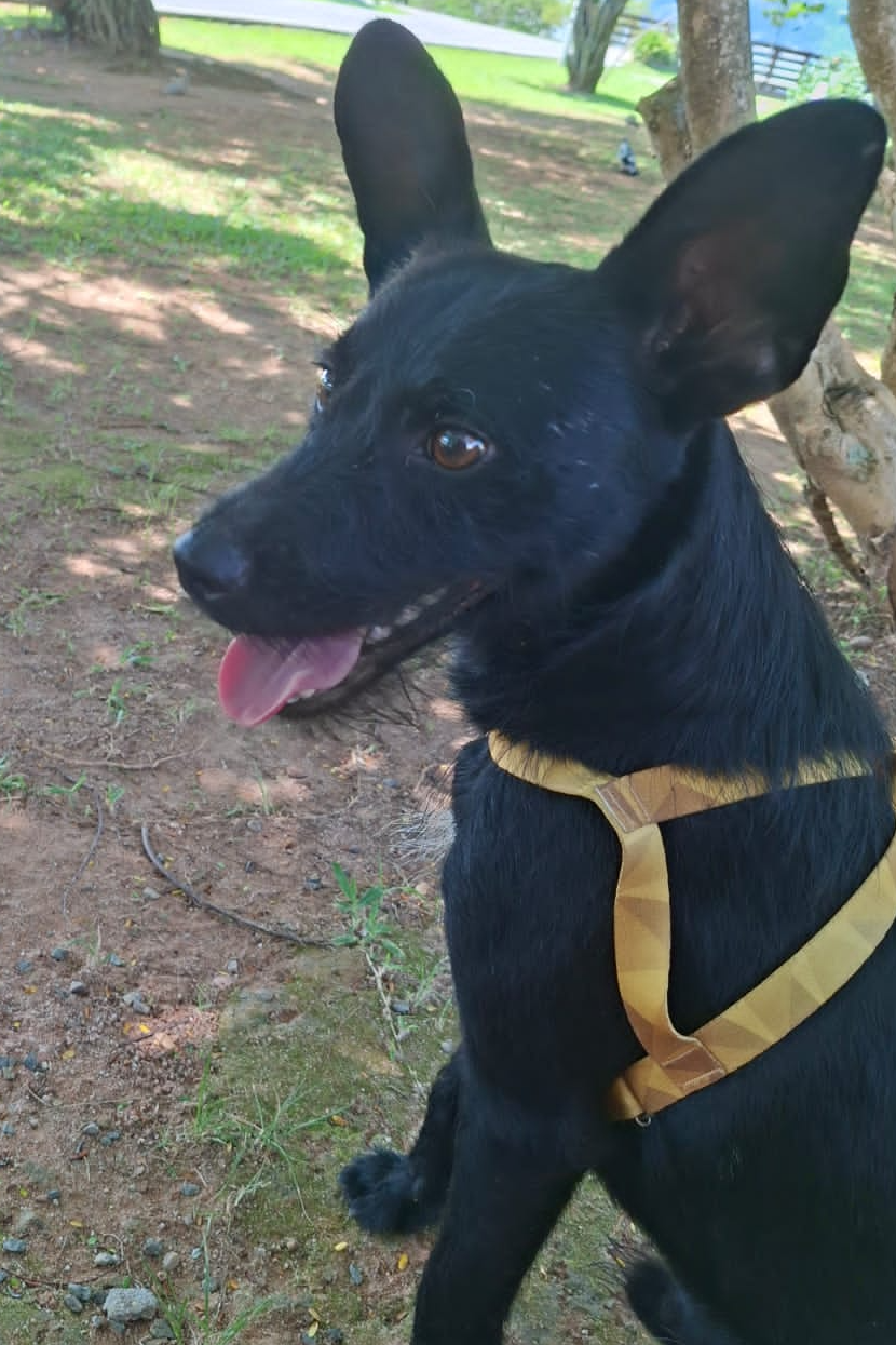 Foto de Perigo