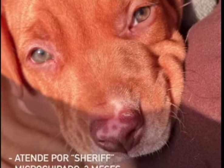 Foto de Sherife