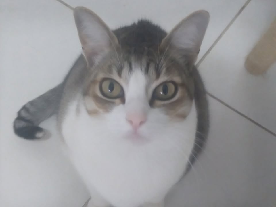 Foto de Branca Shen