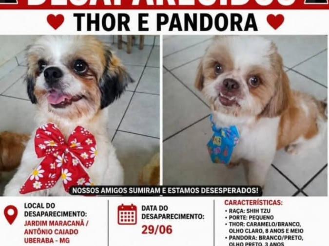Foto de Thor E Pandora