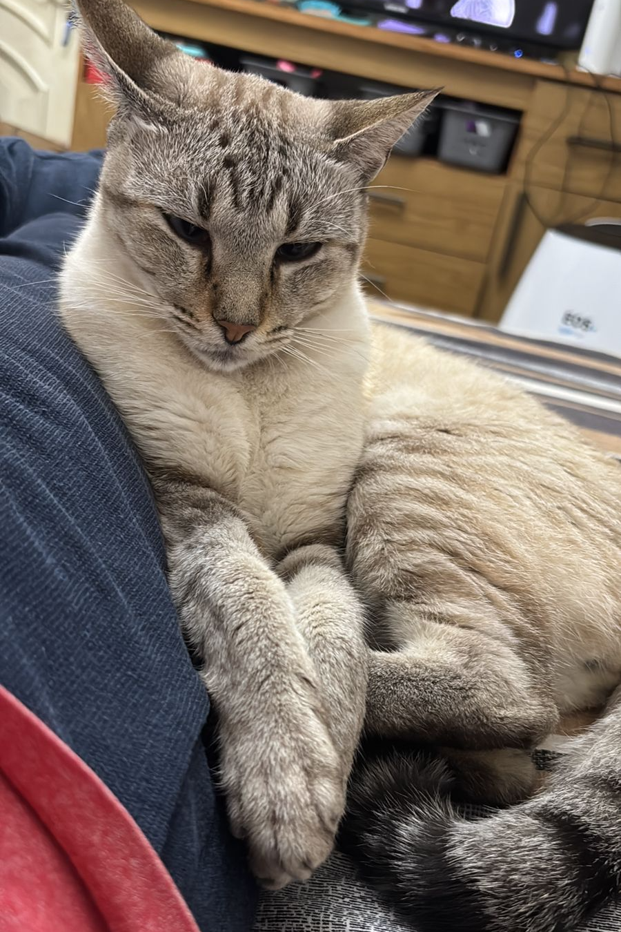 Foto de Francisco