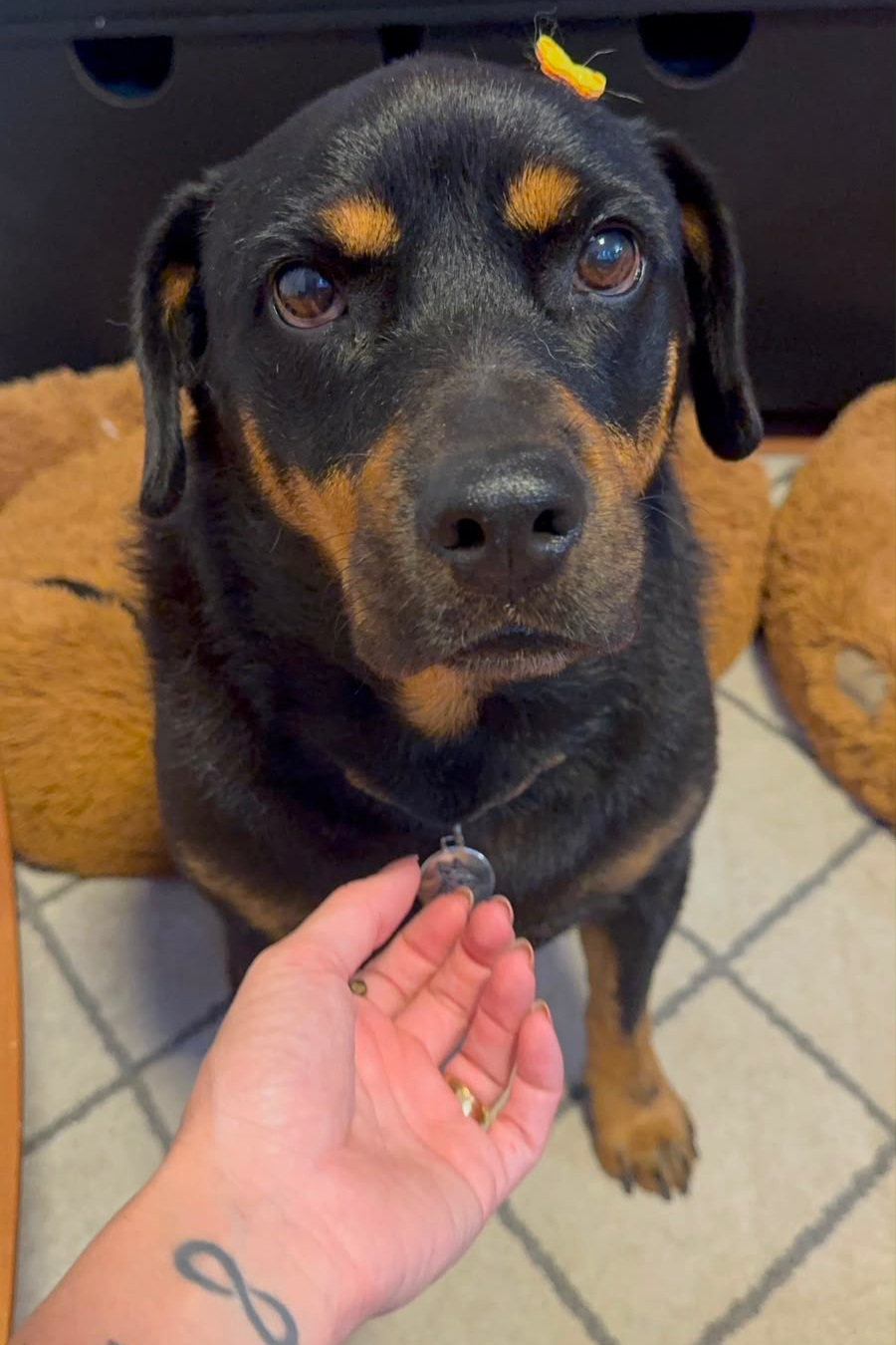 Foto de Kyra