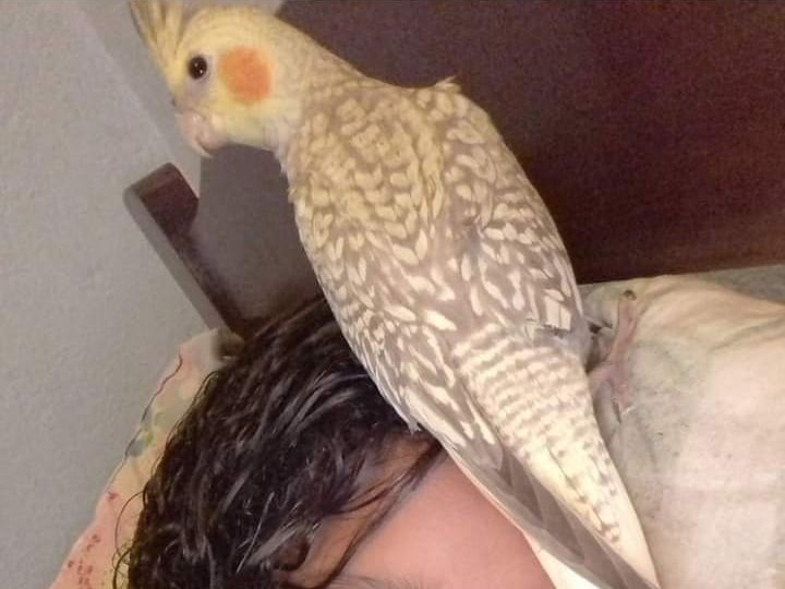 Foto de Veinha