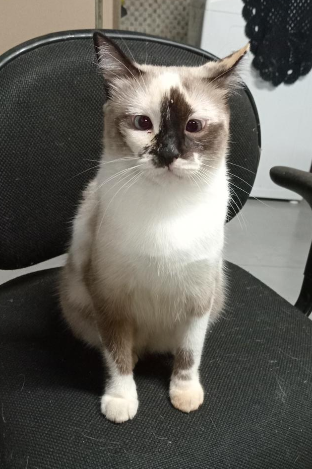 Foto de Jade