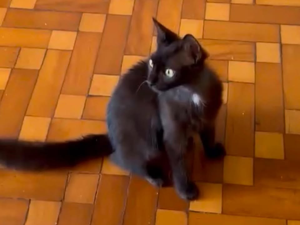 Foto de Naiara