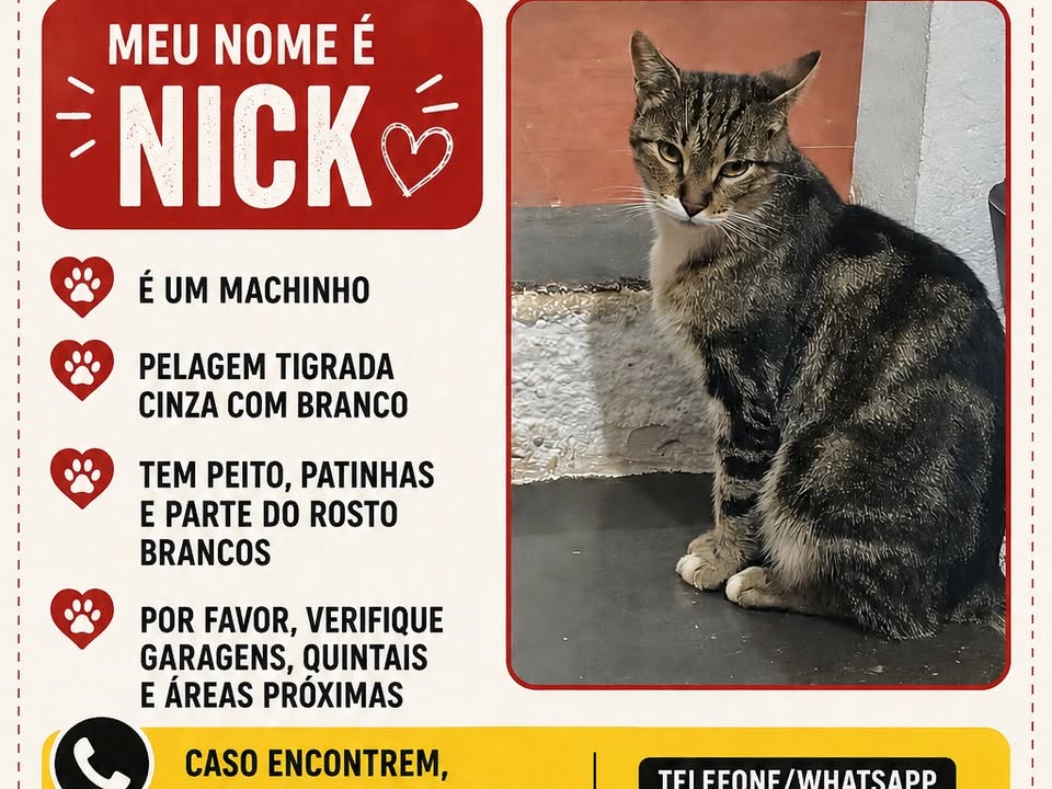 Foto de Nick