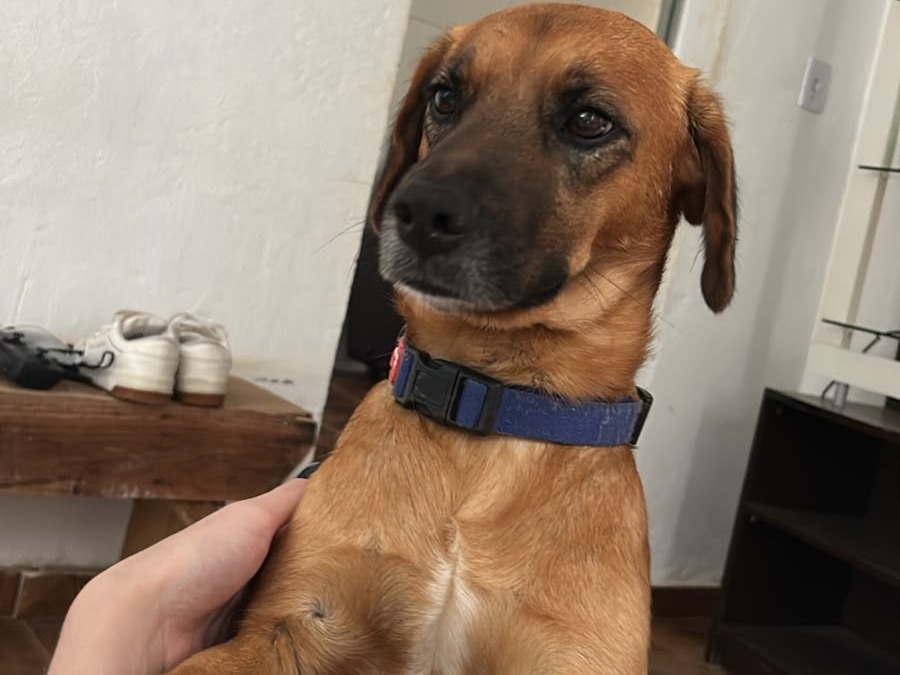 Foto de Duque