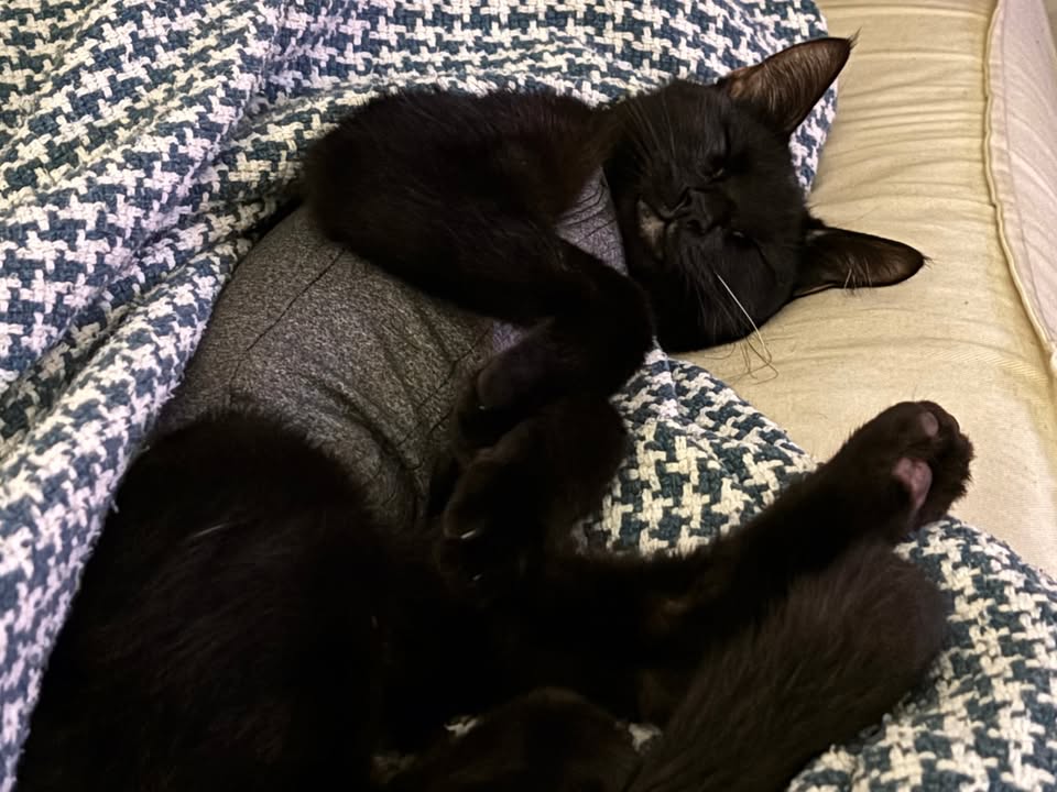 Foto de Luna