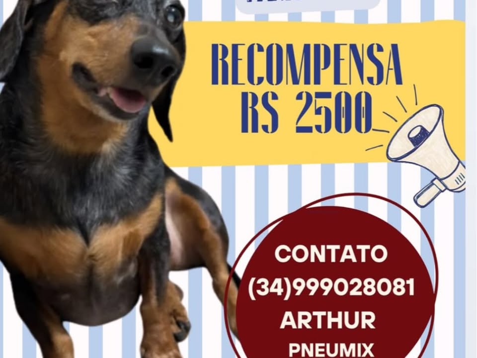 Foto de Lola