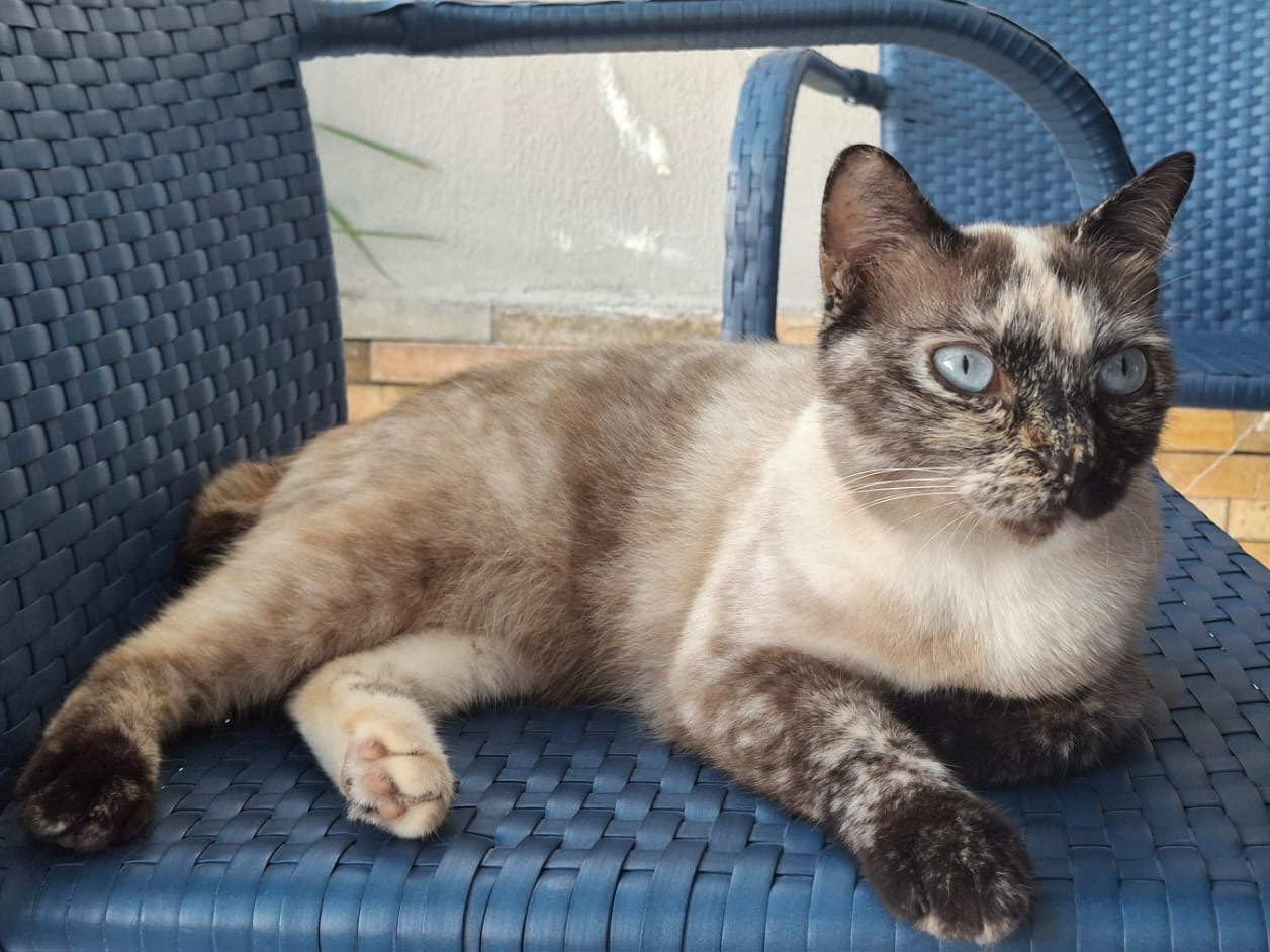 Foto de Minnie