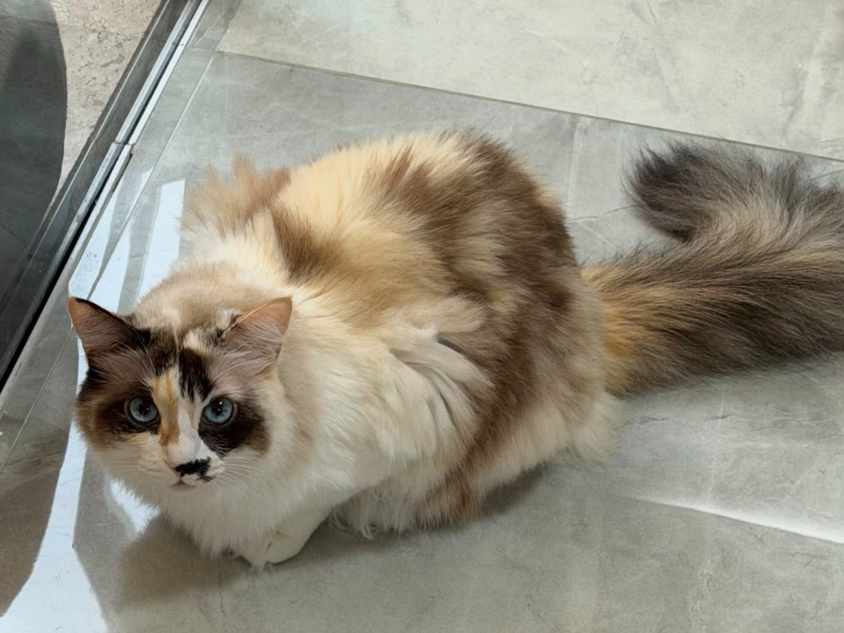Foto de Menina