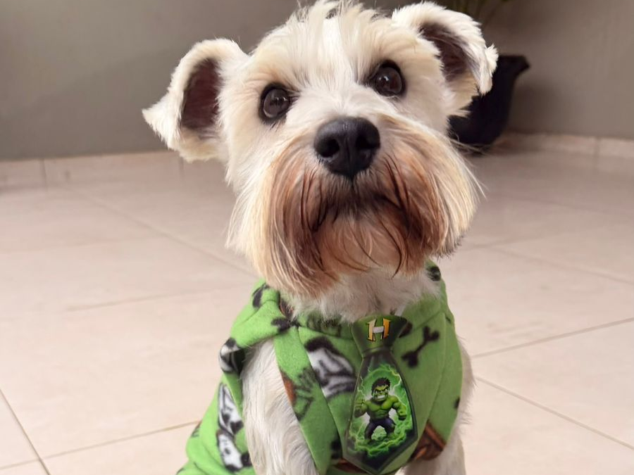 Foto de BARTÔ