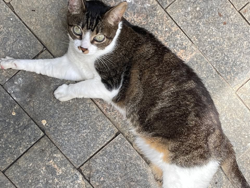 Foto de Sara