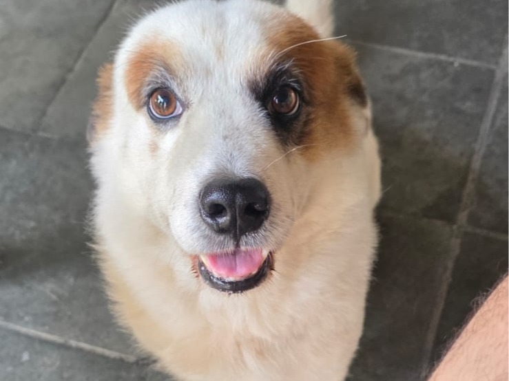 Foto de Max