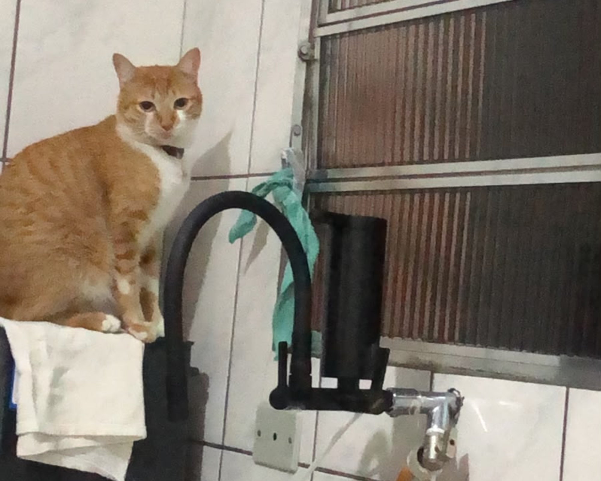 Foto de Chico