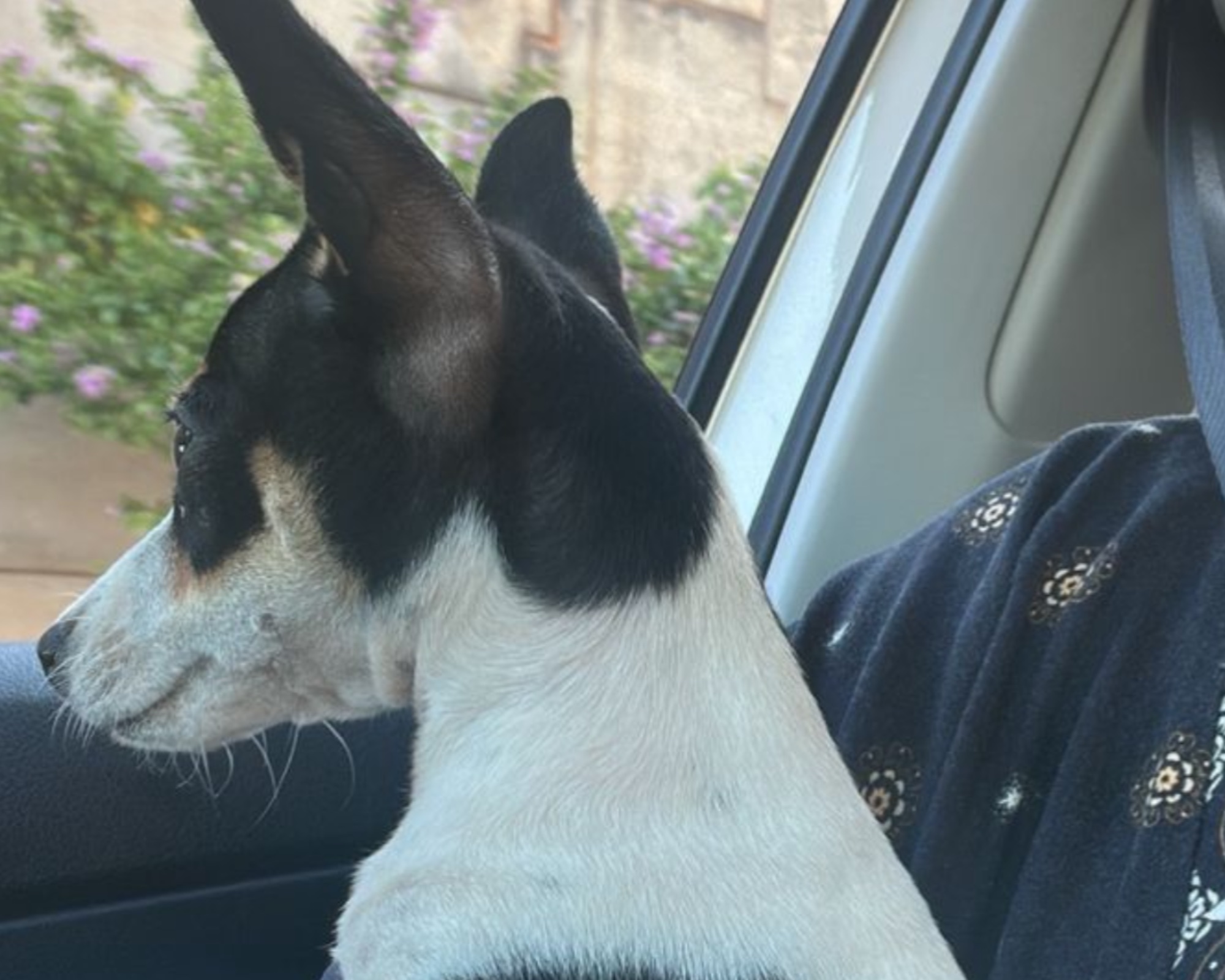 Foto de Cisco