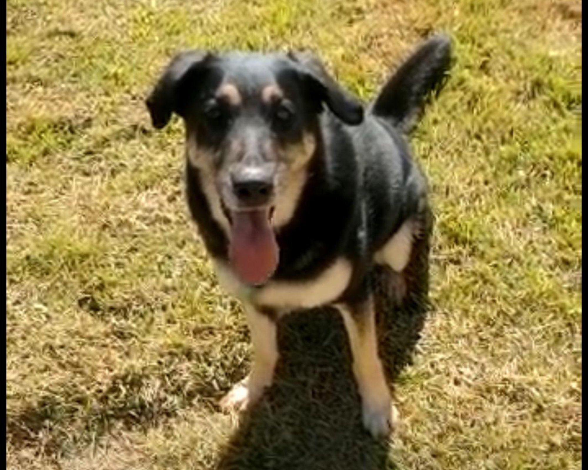 Foto de Malu