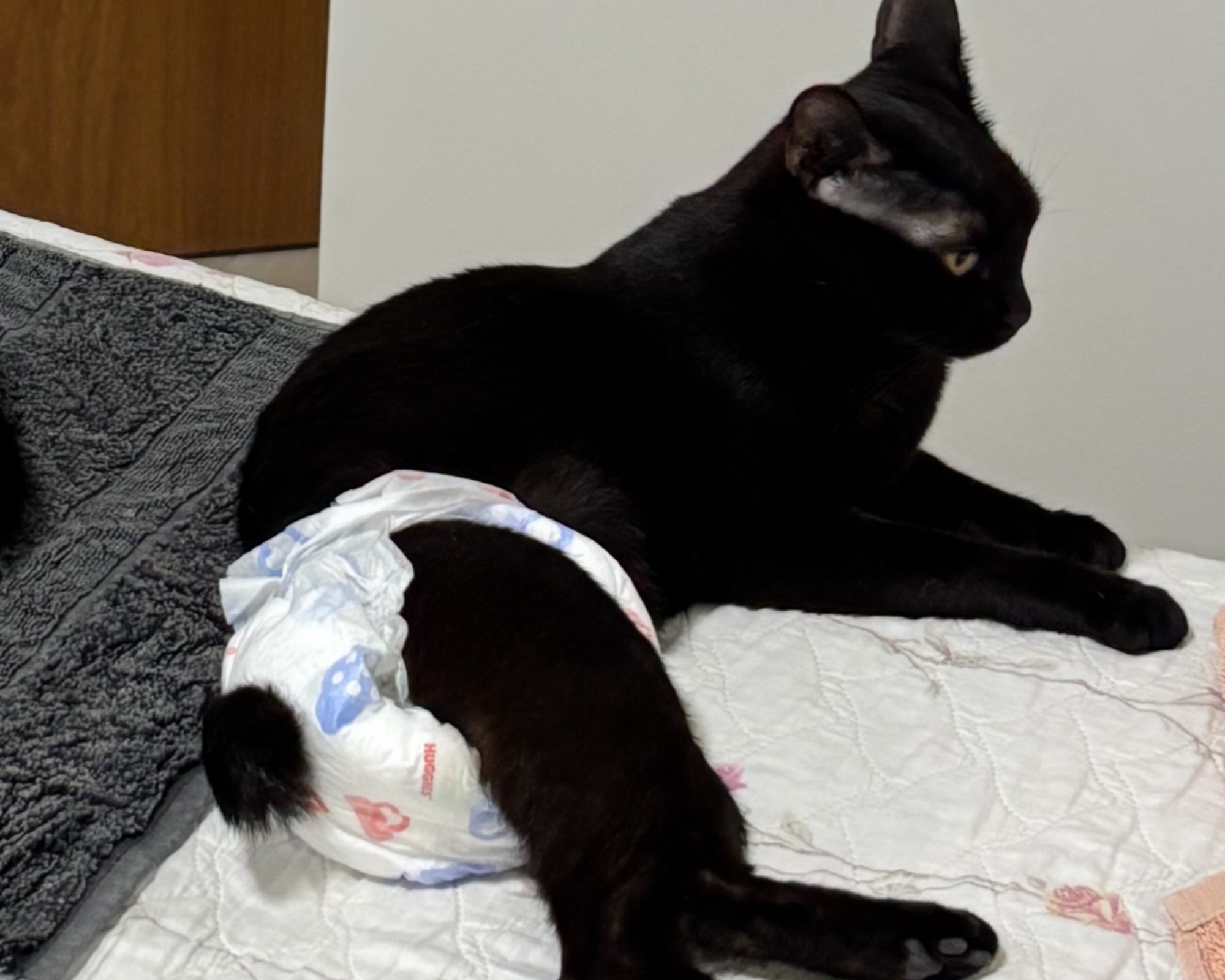 Foto de Lua