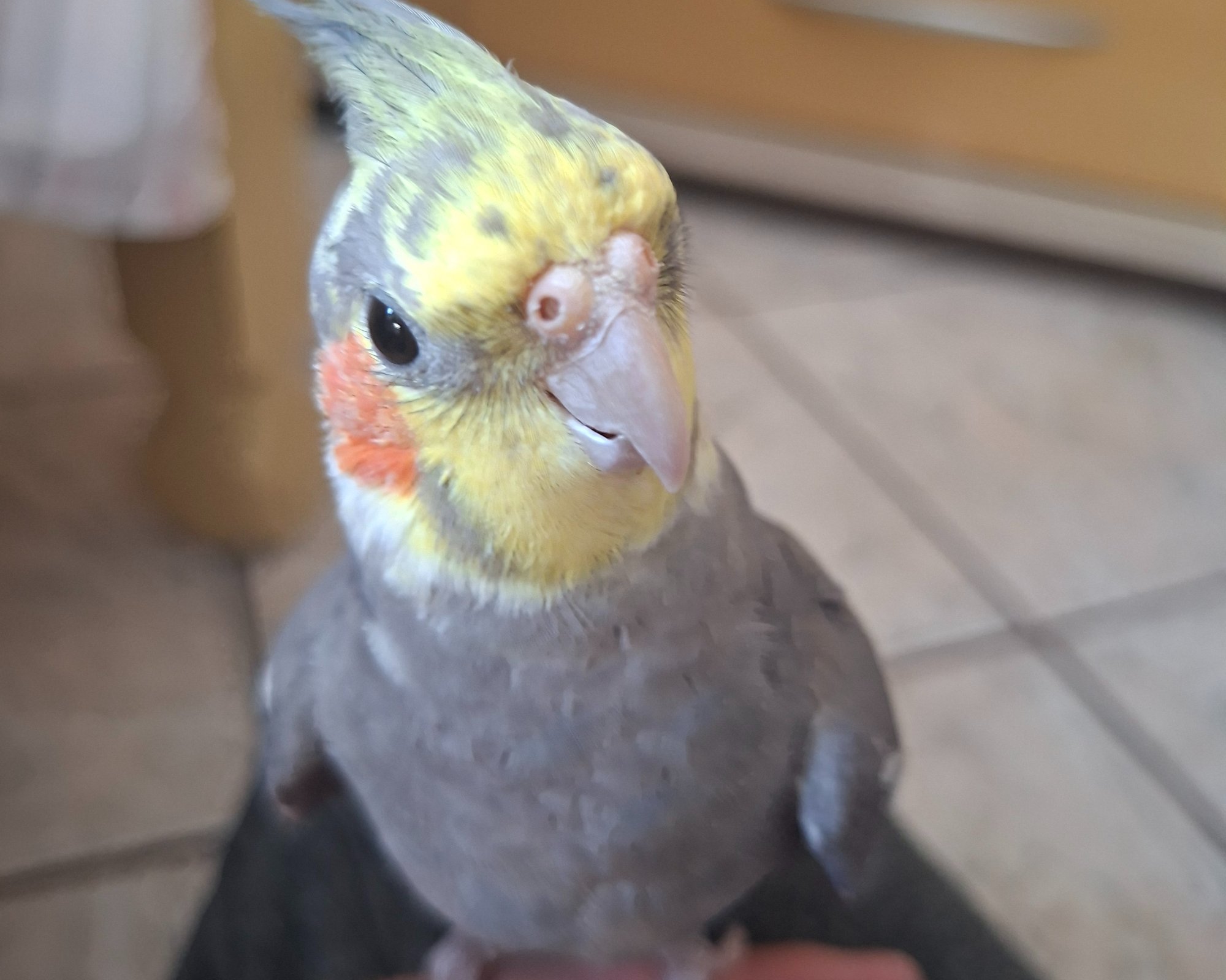 Foto de Sky