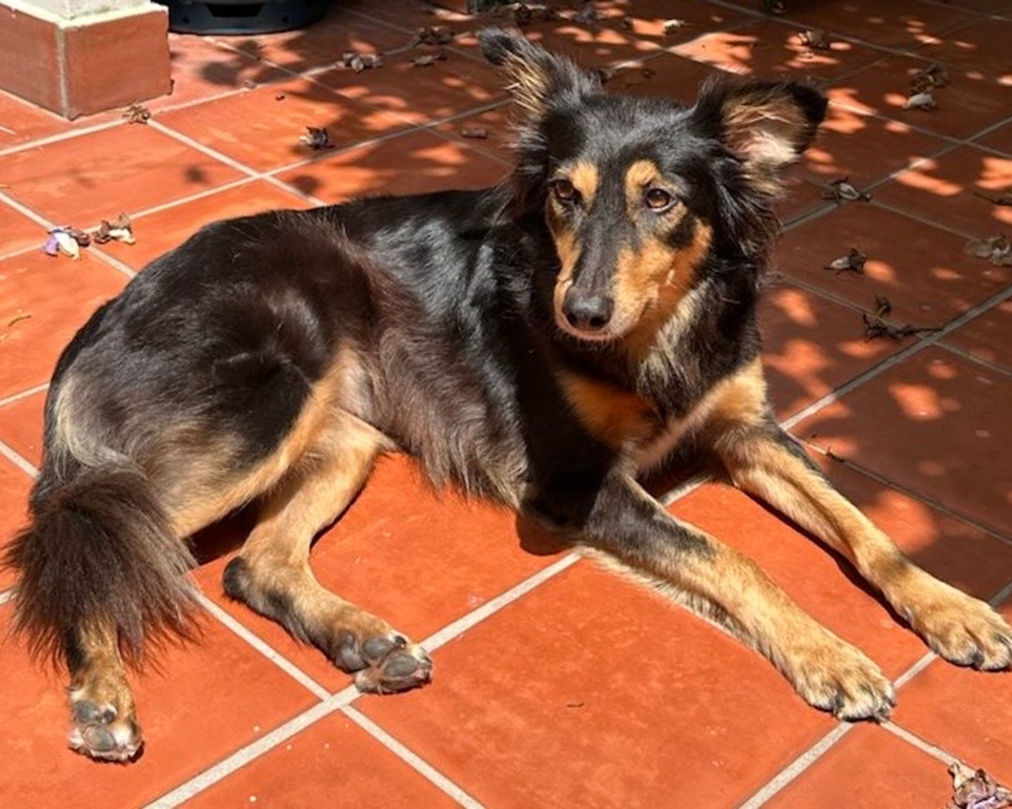 Foto de AURORA