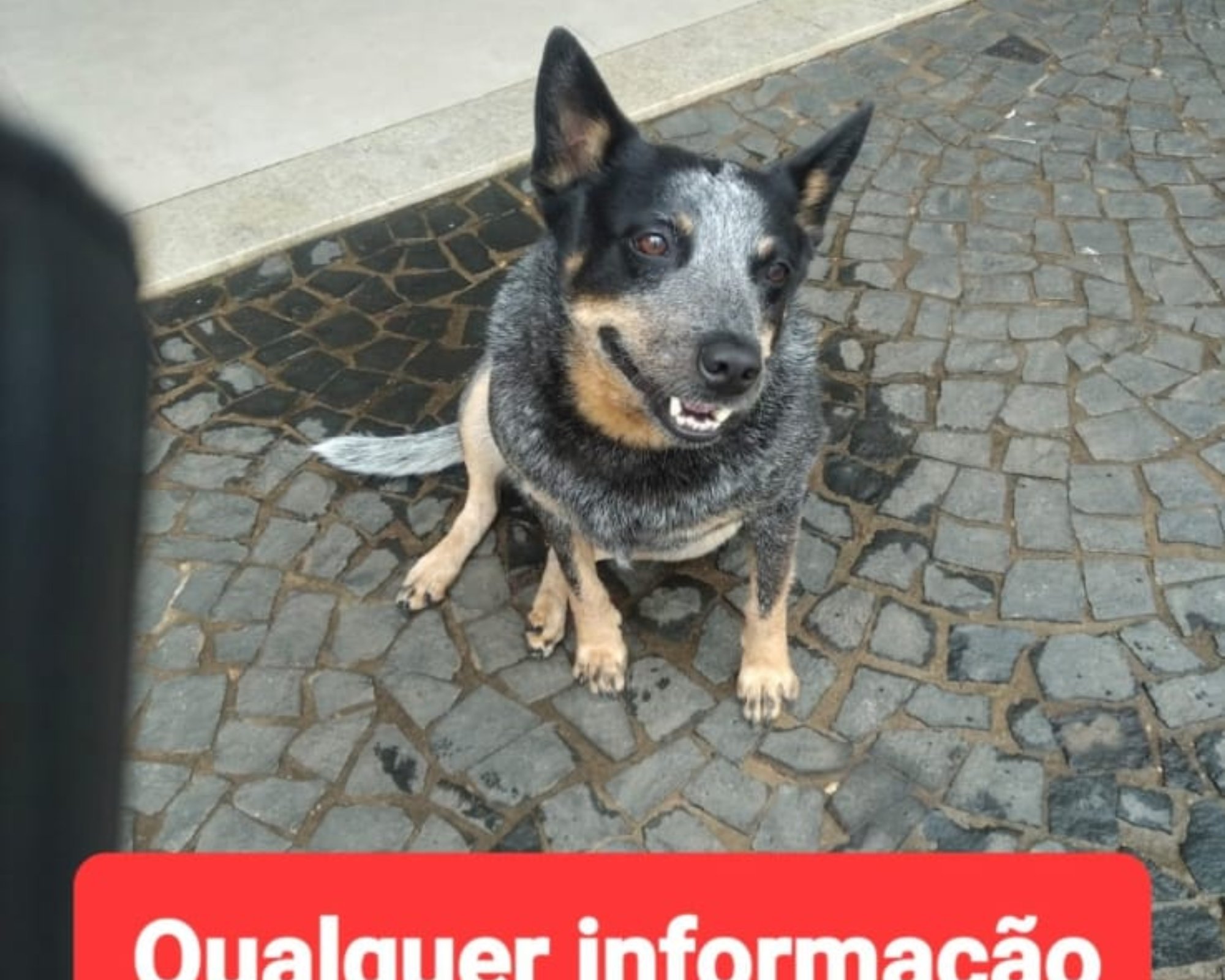 Foto de Theca