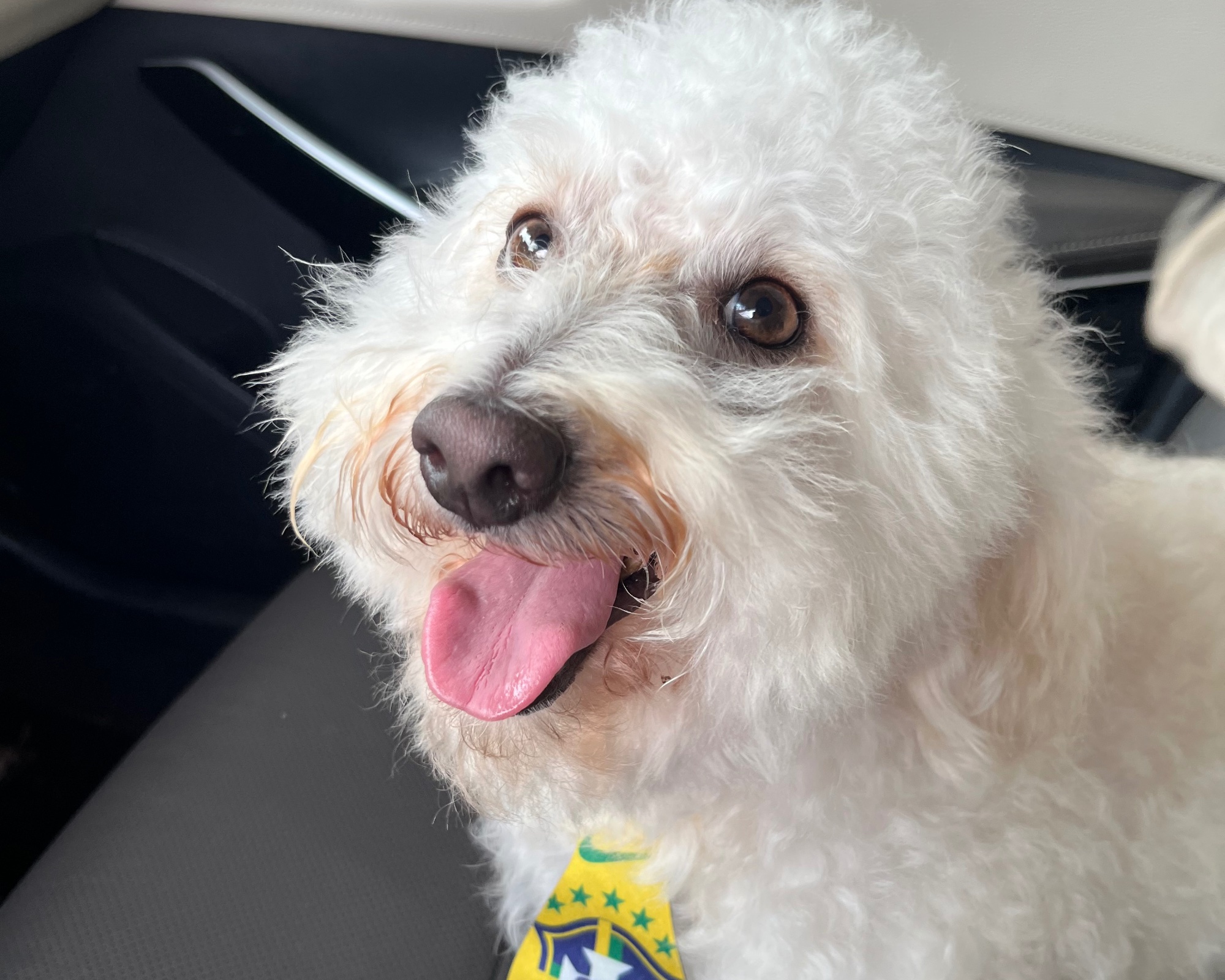 Foto de Inácio