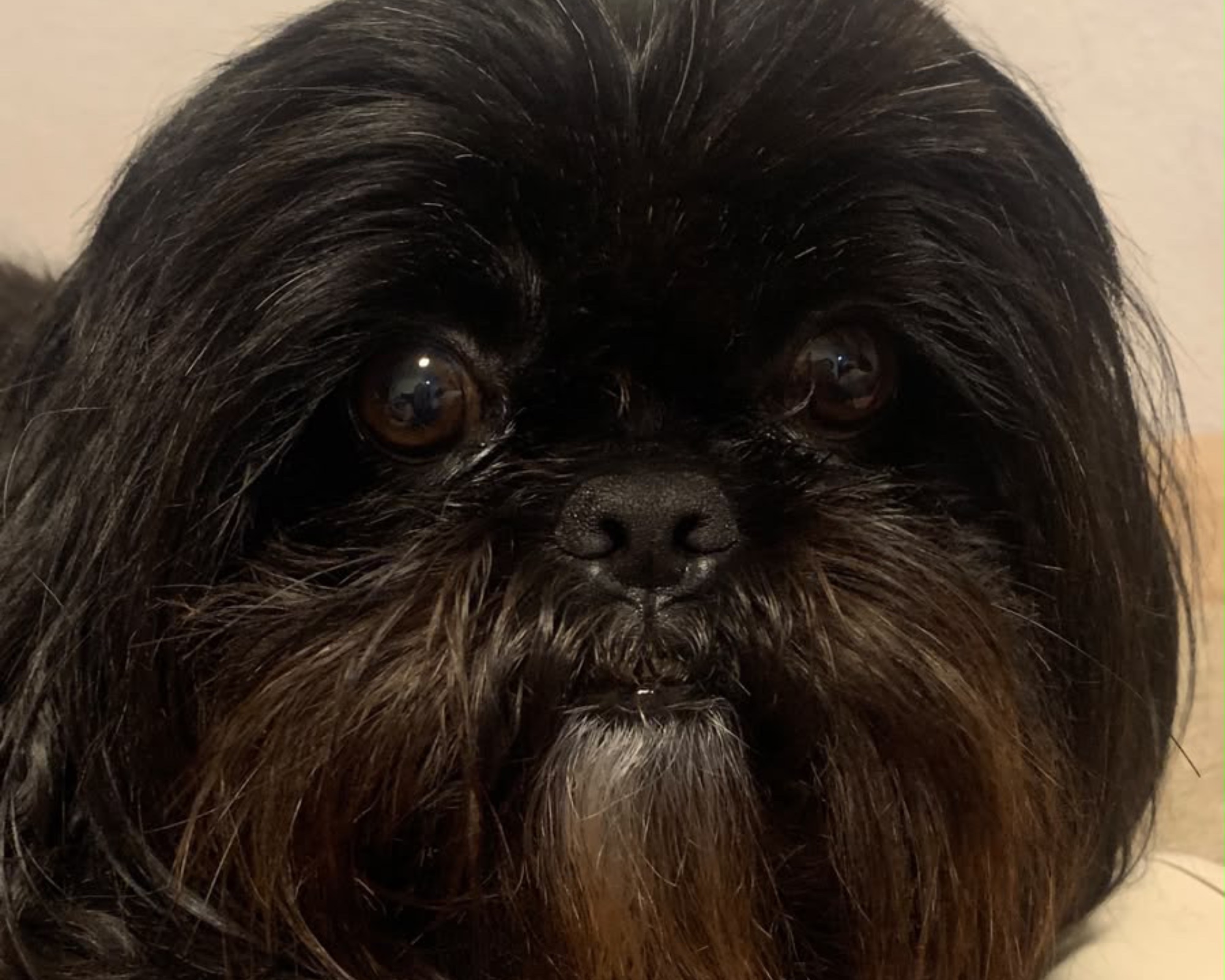 Foto de Malu