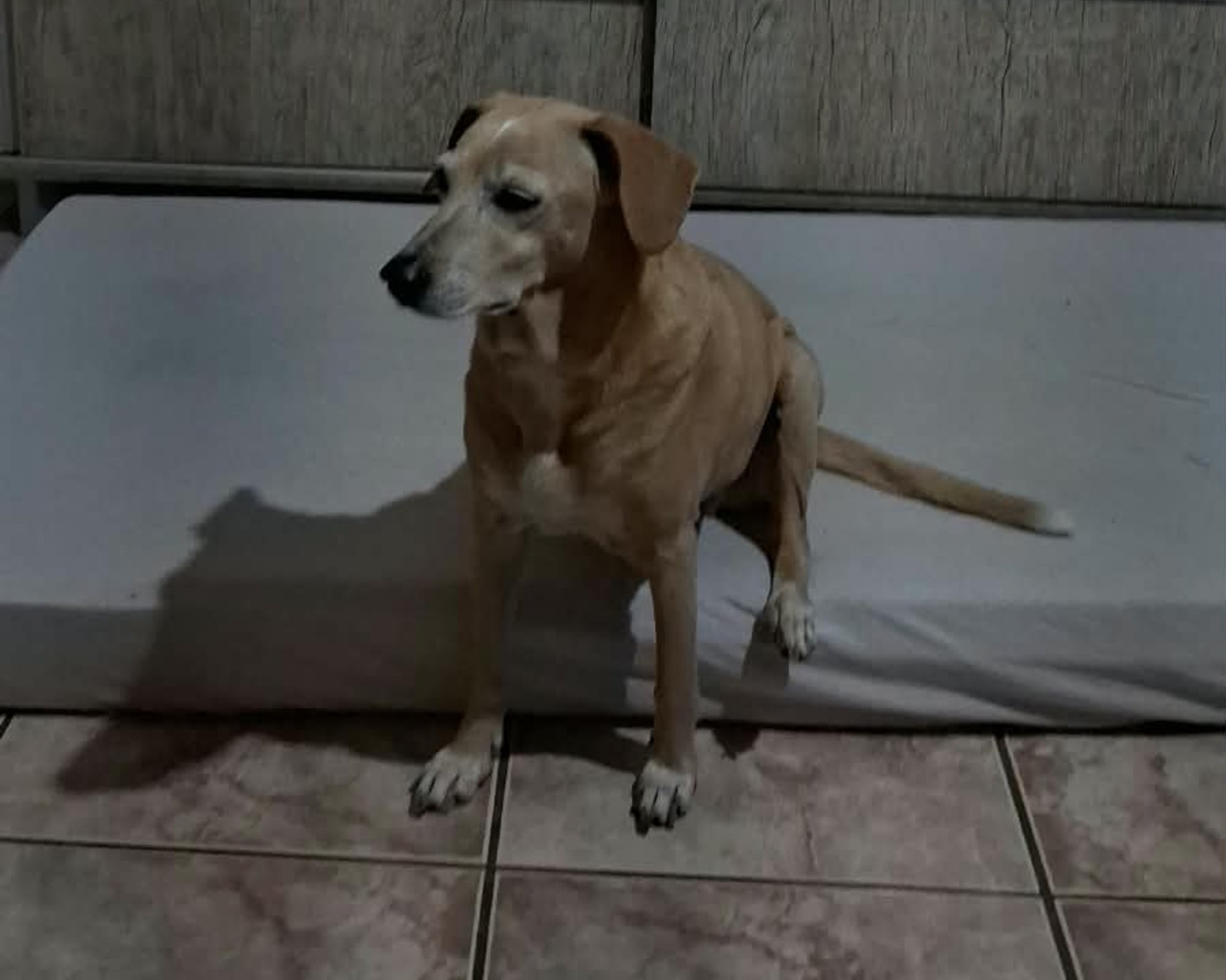 Foto de Milk