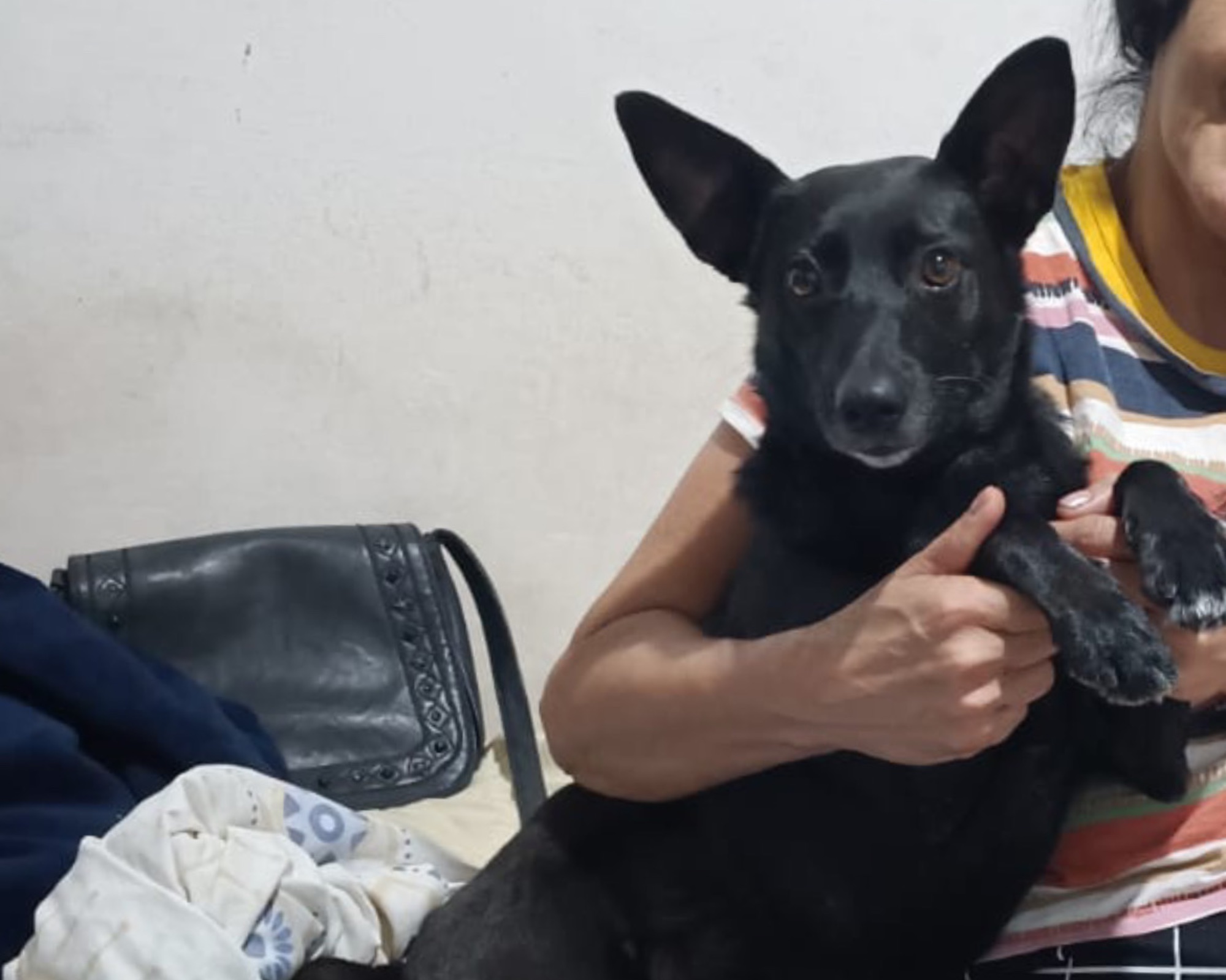 Foto de Neguinha