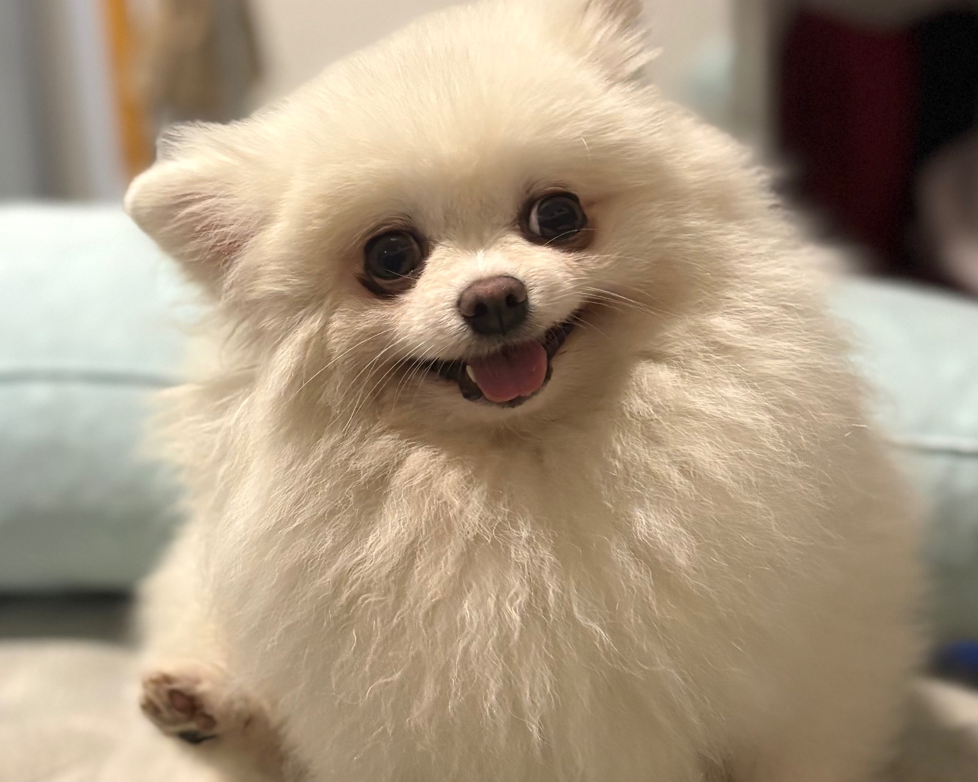 Foto de Faísca