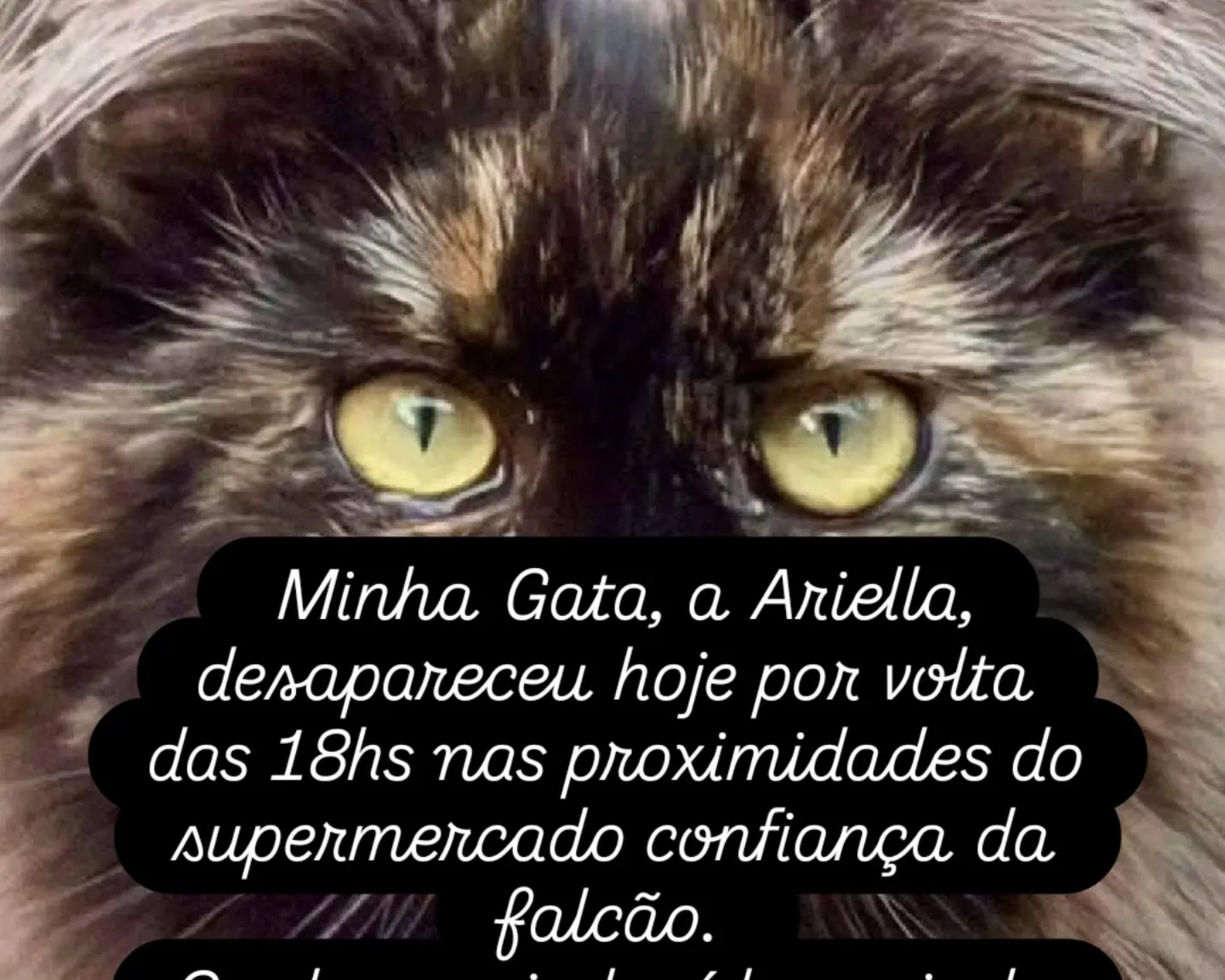 Foto de Ariella