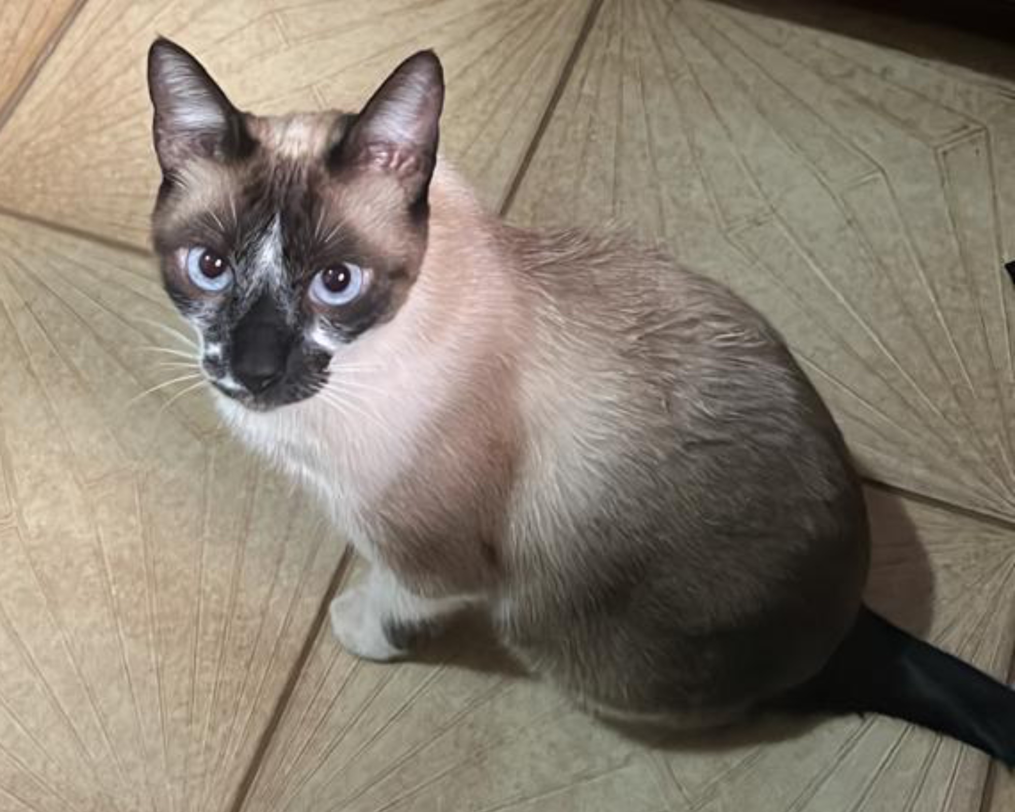 Foto de Zoe
