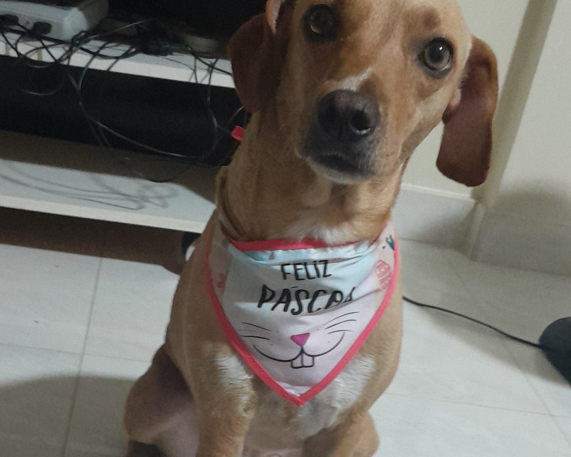 Foto de Lolla