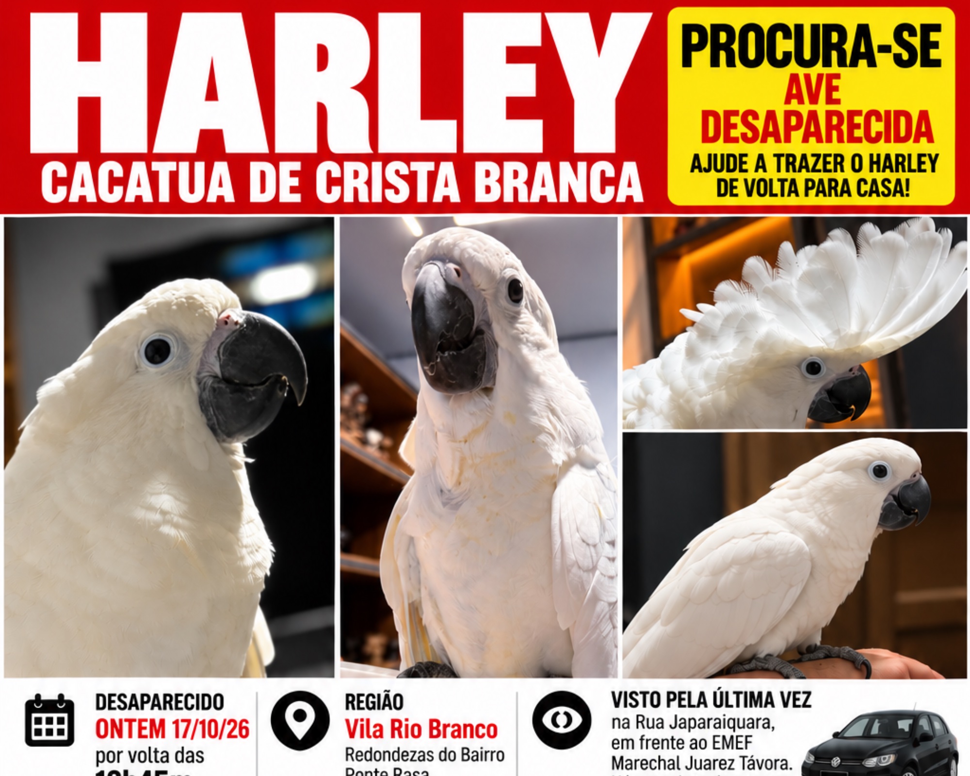 Foto de Harley
