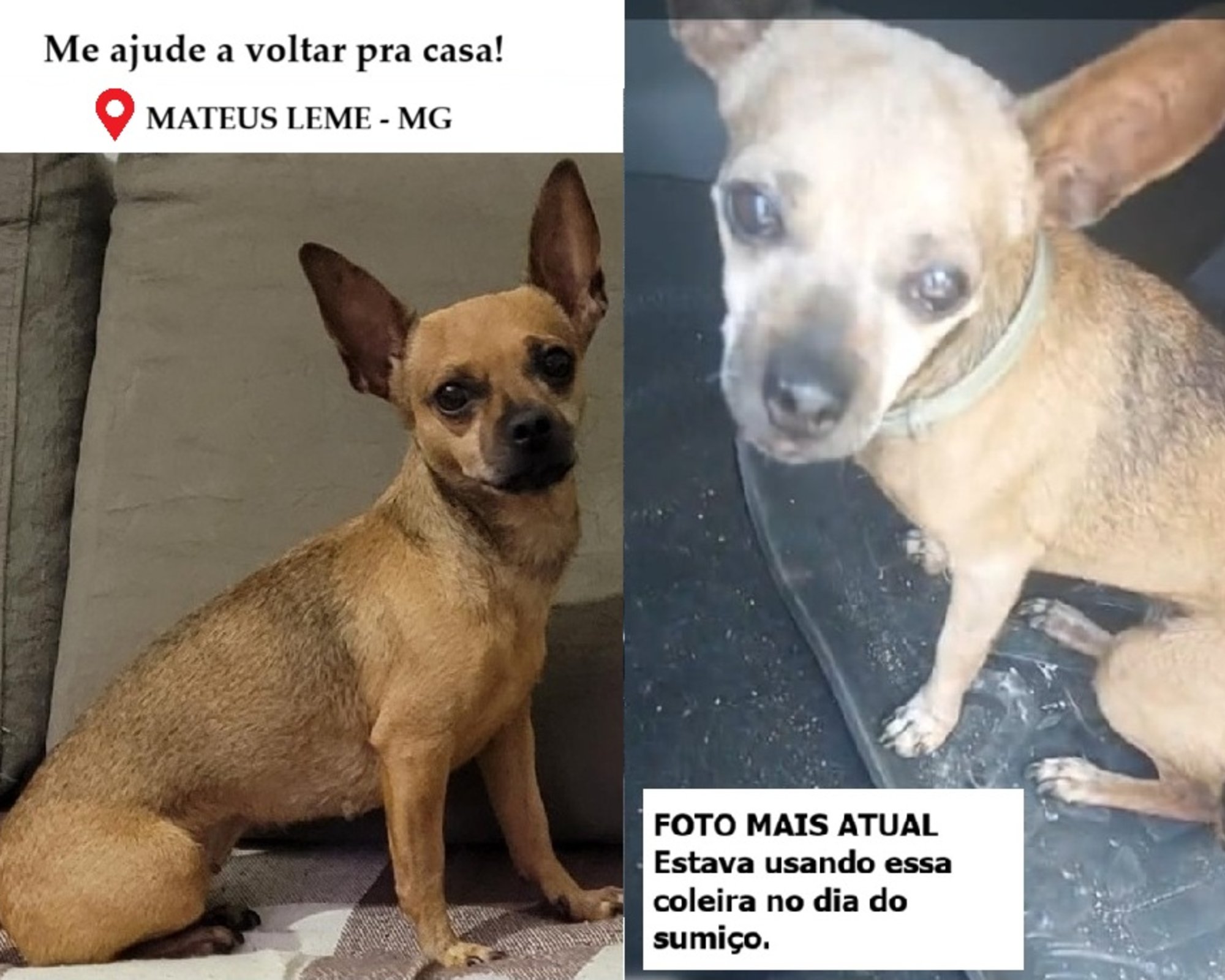 Foto de Bia